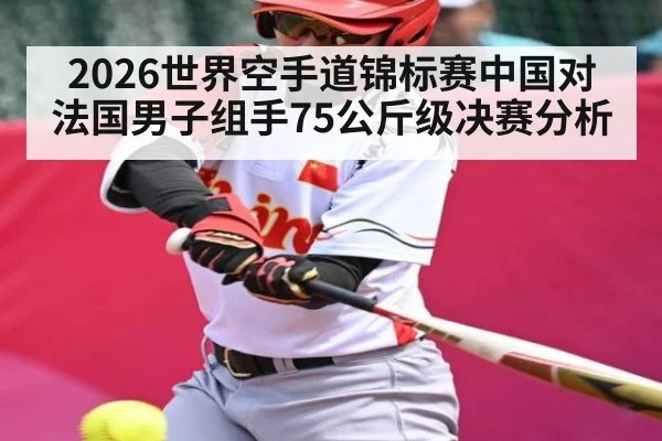 2026世界空手道锦标赛中国对法国男子组手75公斤级决赛分析